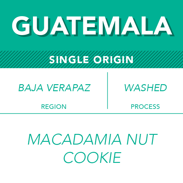Guatemala single-origin coffee bag - Washed process beans from Baja Verapaz with macadamia nut richness, 12oz bag, $22